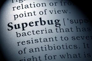 Definition of Superbug