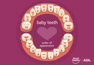 https://www.mouthhealthy.org/en/az-topics/b/baby-teeth