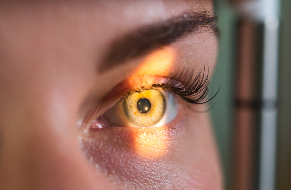 Retina fix halts diabetic vision loss