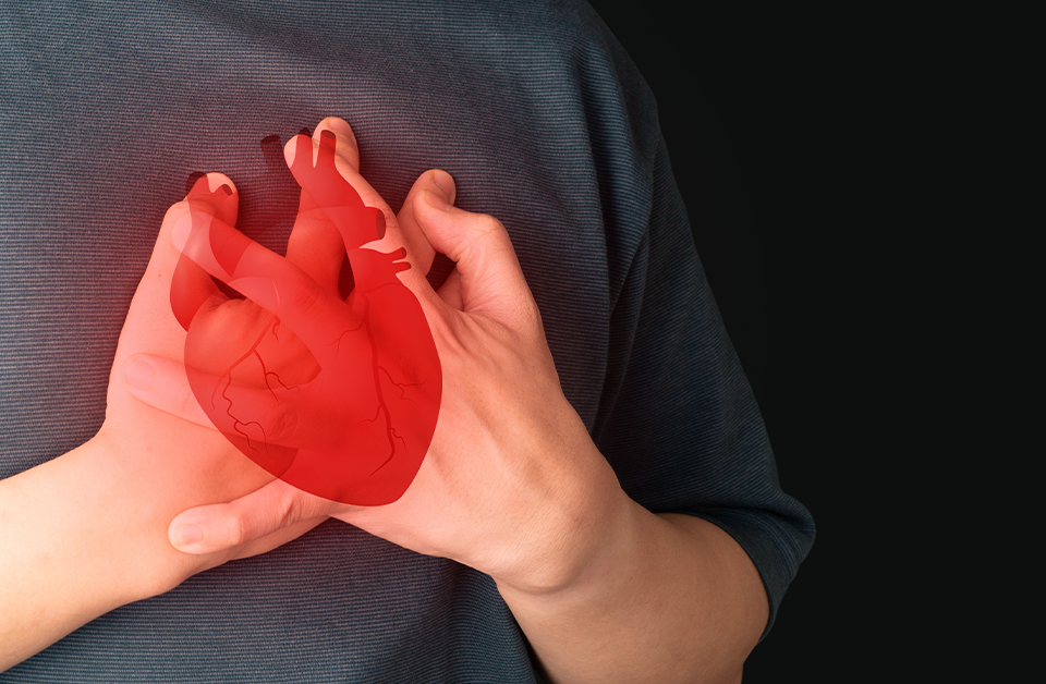 How Does EECP Unblock Coronary Arteries?